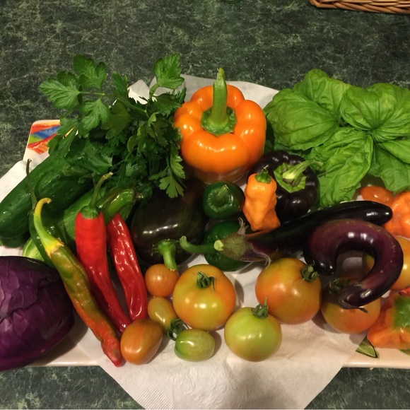 Meet your Posher, Fabiana π€©π - Picture 15 of 15